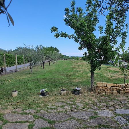 Apartma Vista Baredi Izola Luaran gambar