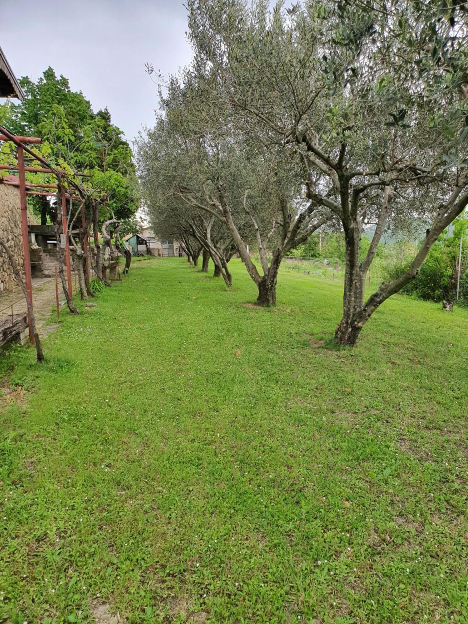 Apartma Vista Baredi Izola Luaran gambar