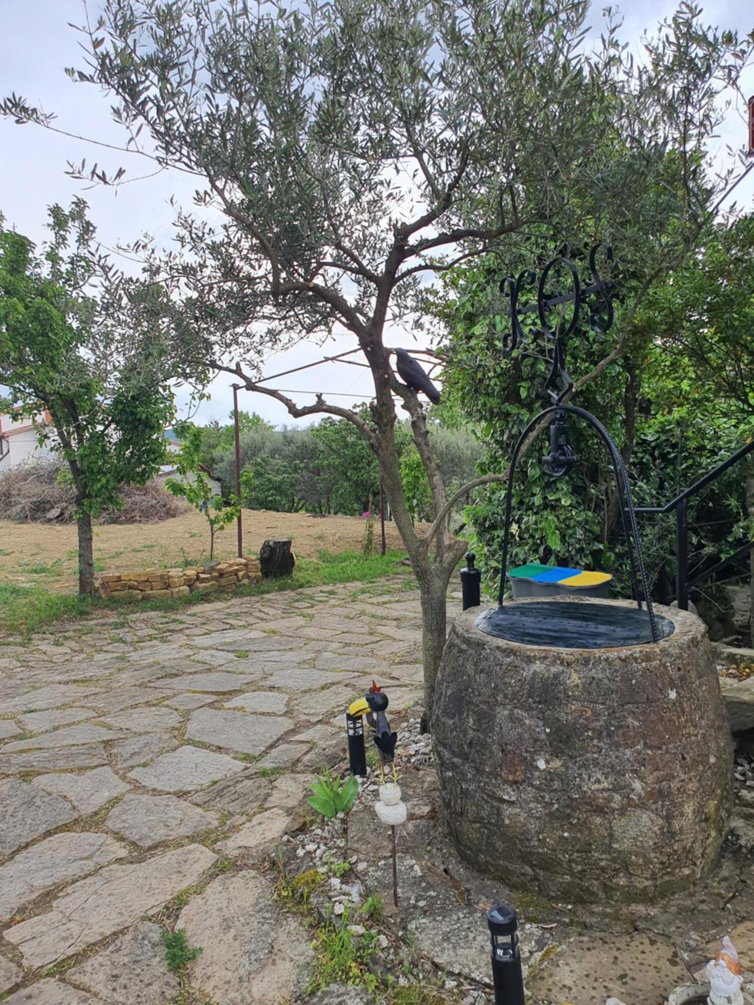 Apartma Vista Baredi Izola Luaran gambar