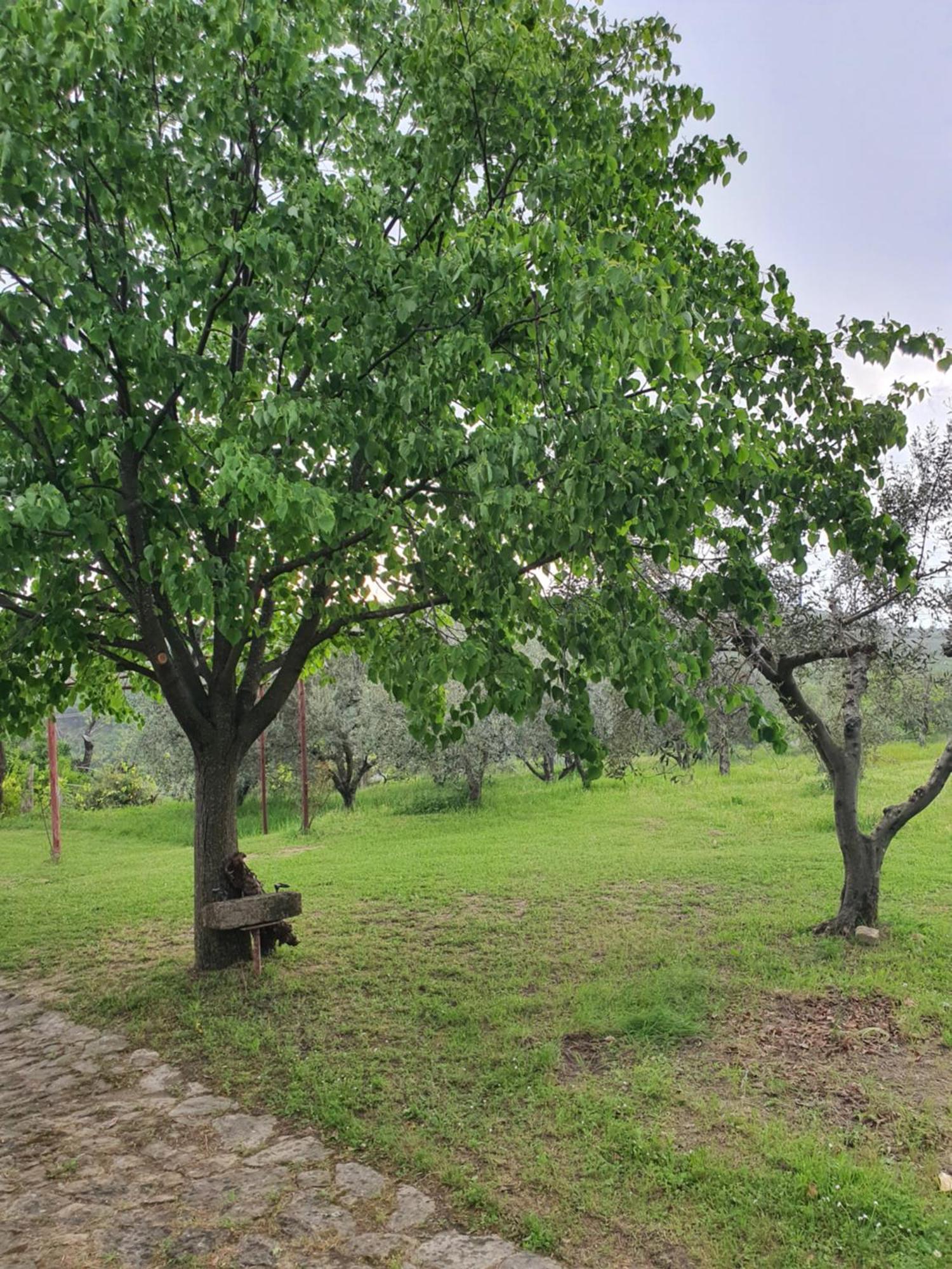 Apartma Vista Baredi Izola Luaran gambar
